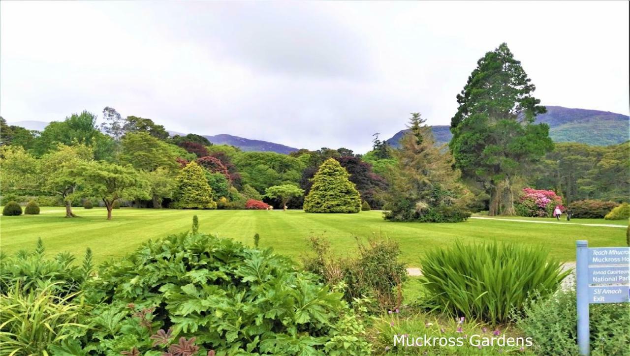 Leabrook House Bed & Breakfast คาสเซิลเมน ภายนอก รูปภาพ